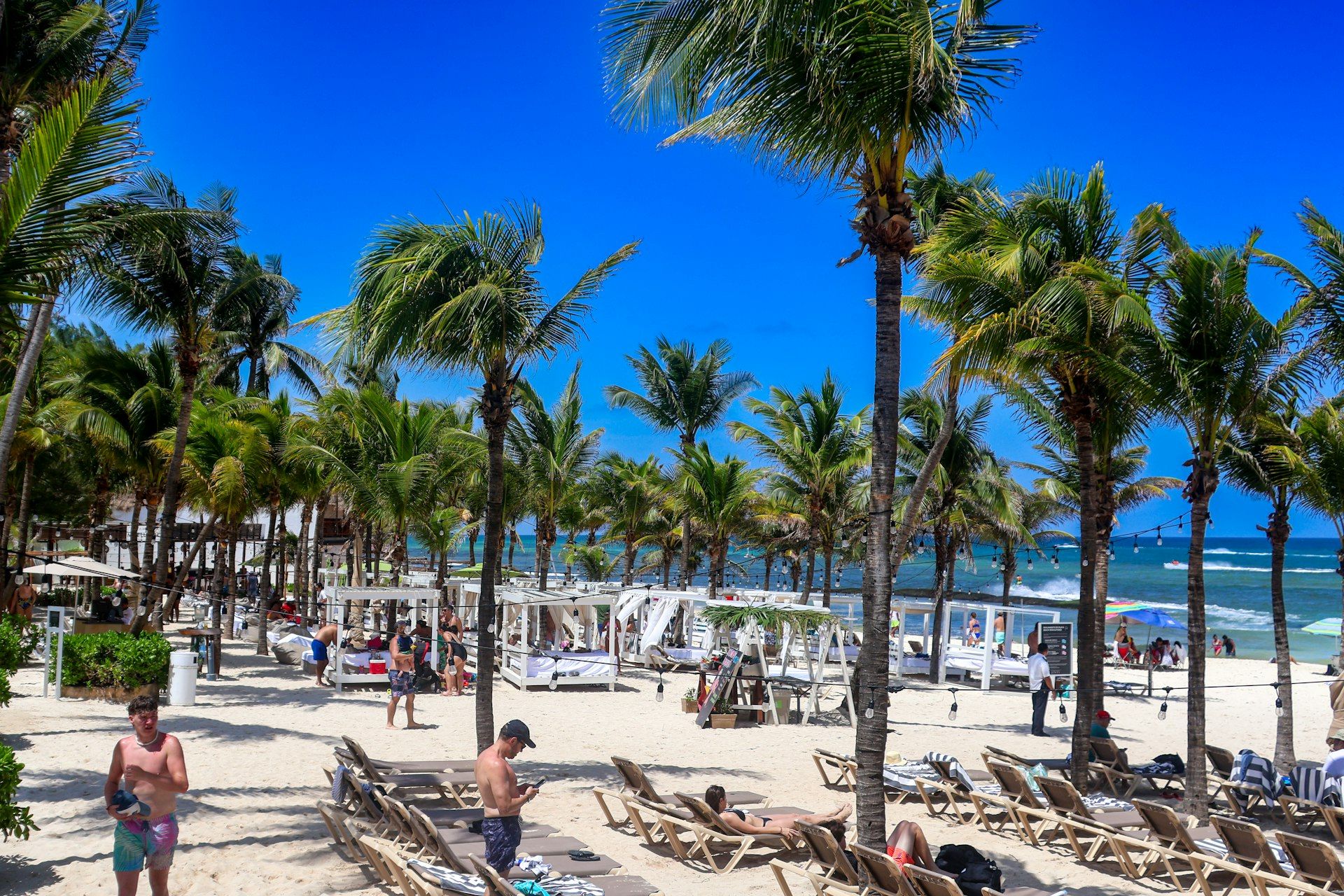 Playa y palmeras en Playacar Playa del Carmen