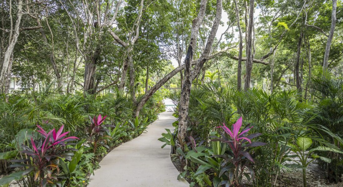 Mistiq Temple I - Tulum 18