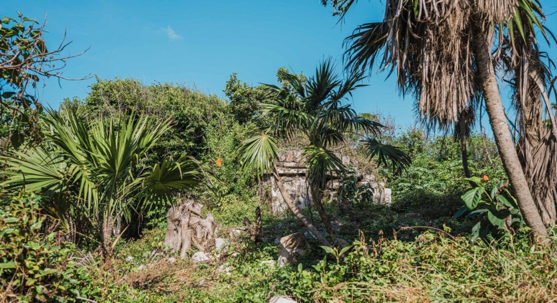 Terreno Beachfront