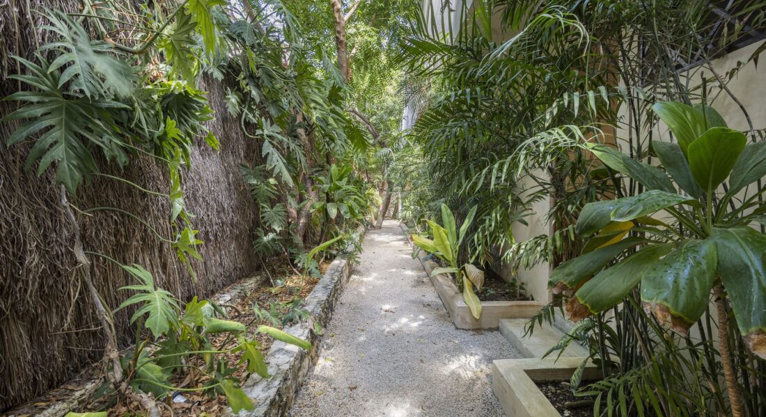 Villa KAY - La Veleta Tulum 7