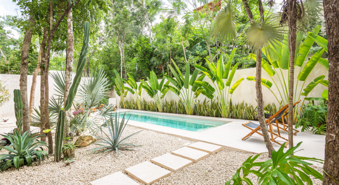 aha-tulum-alberca-2