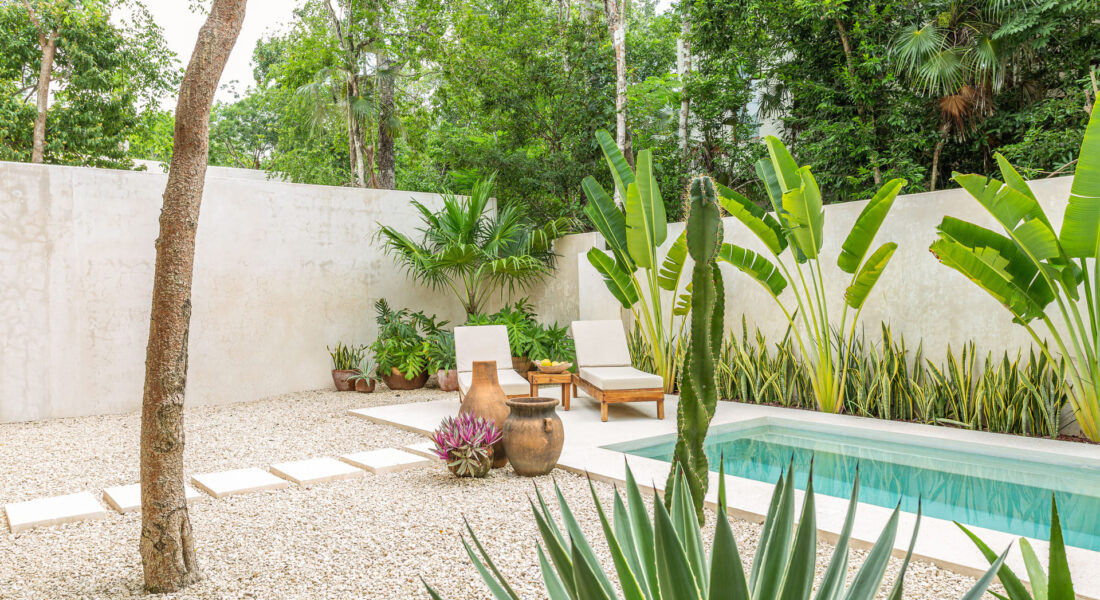 aha-tulum-alberca-4