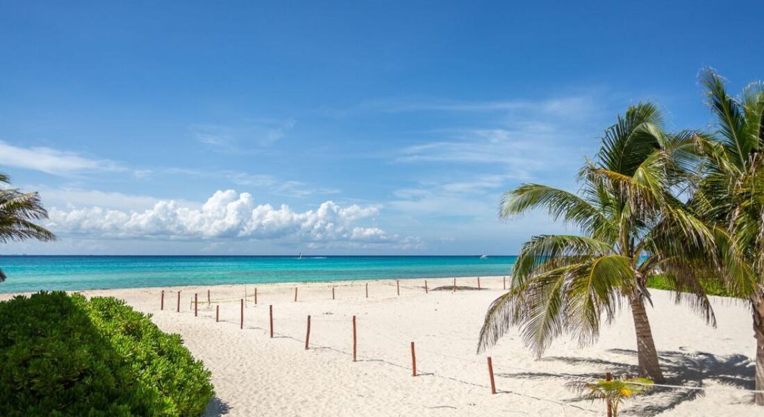 playacar