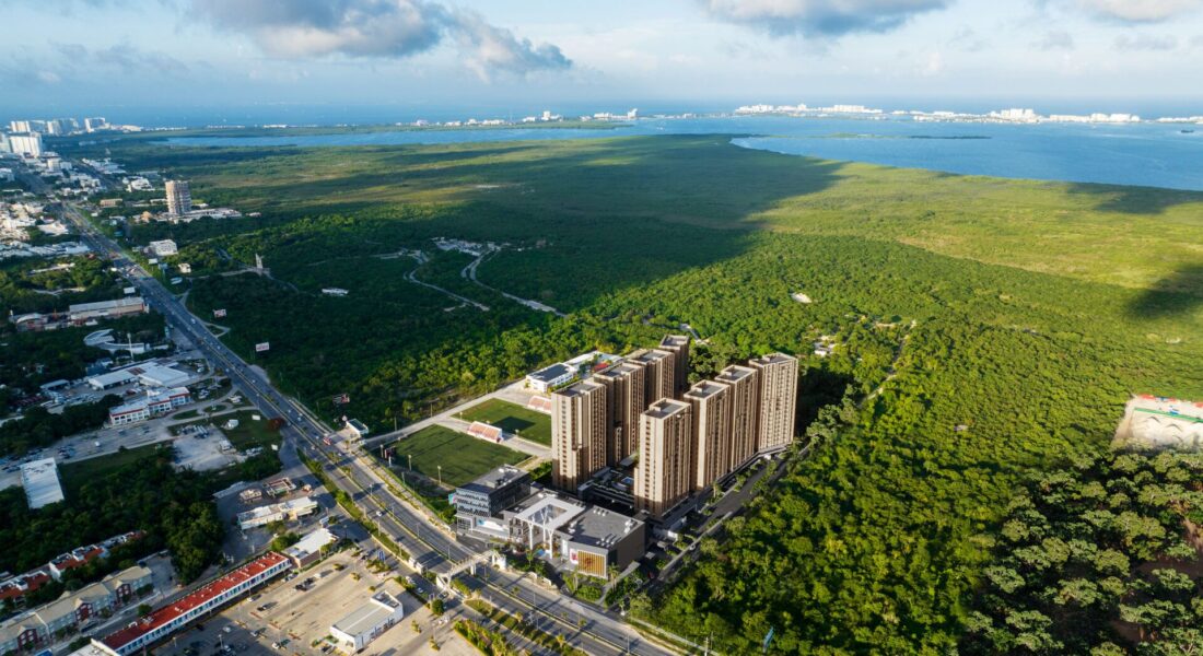 tif_elephant_manglar cumbres 03_mp_02